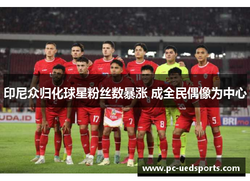 印尼众归化球星粉丝数暴涨 成全民偶像为中心