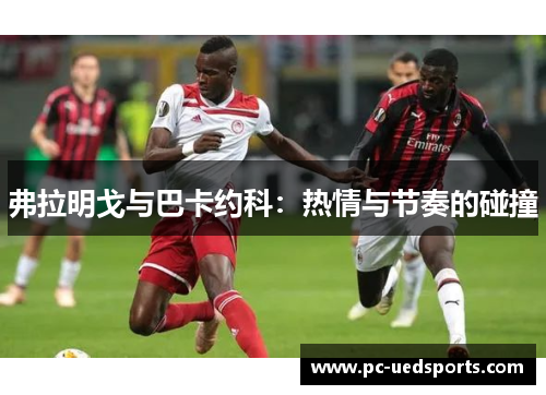 弗拉明戈与巴卡约科：热情与节奏的碰撞