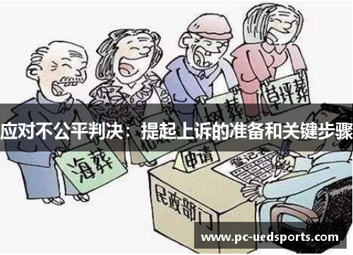 应对不公平判决：提起上诉的准备和关键步骤